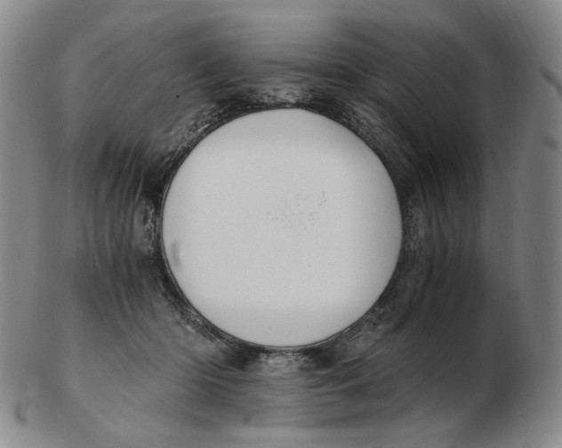 X0000103130414200809121736
