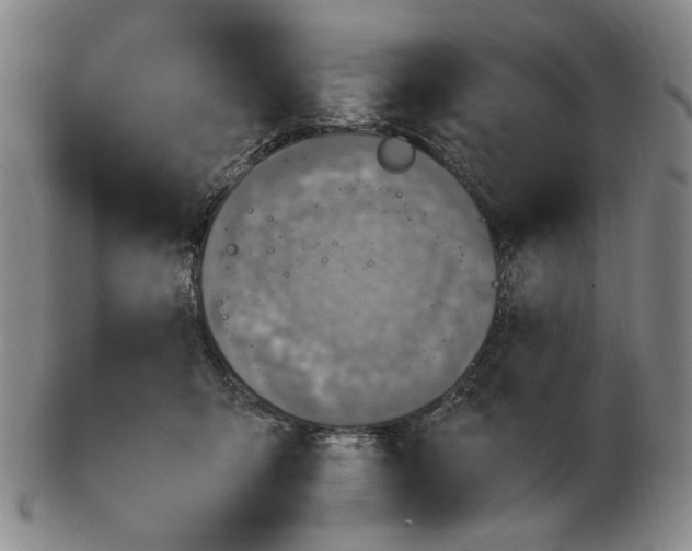 X0000103130415200809121736