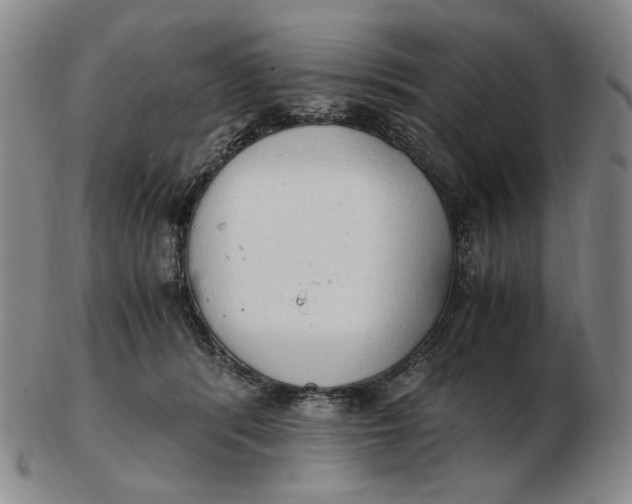 X0000103130416200809121736