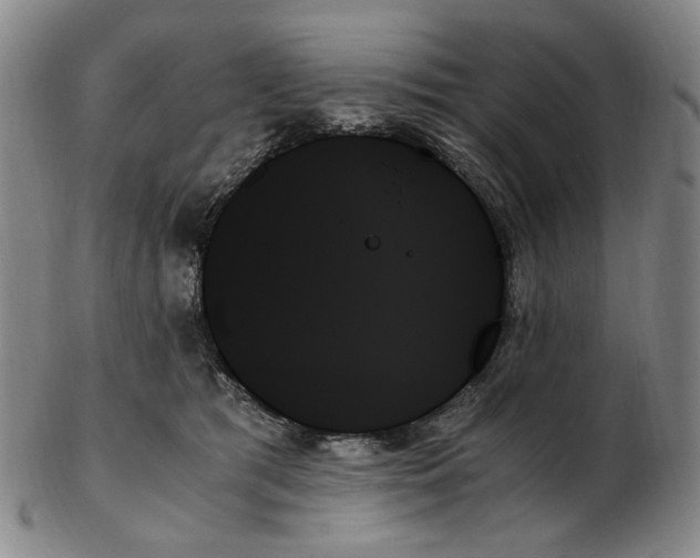 X0000103130417200809121736