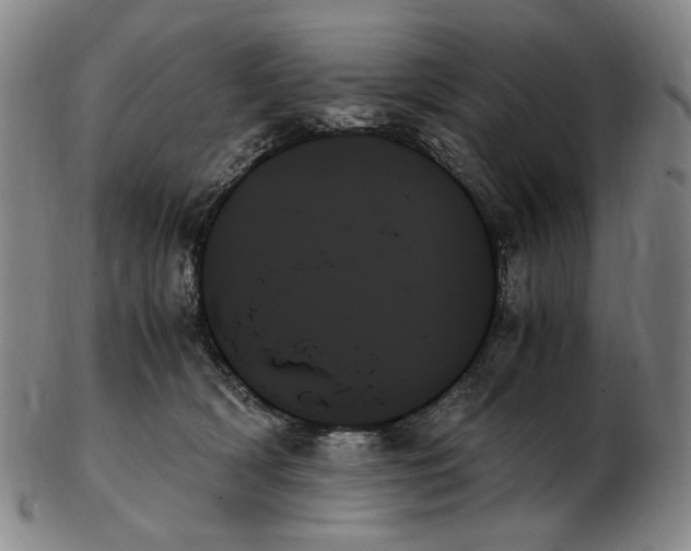 X0000103130418200809121736