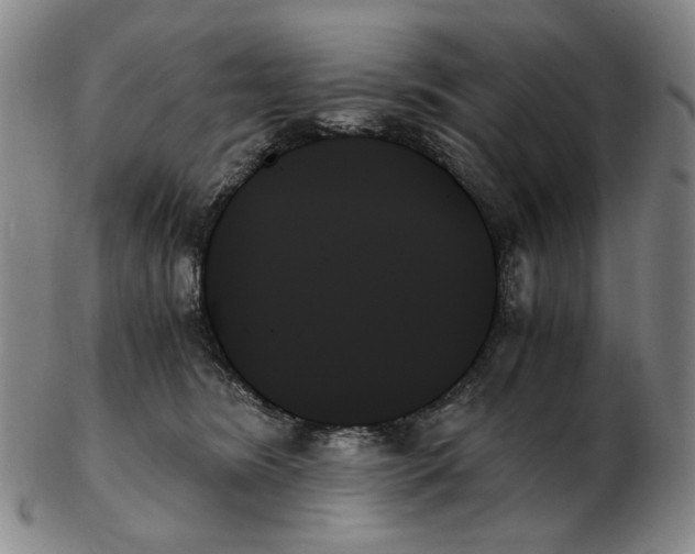 X0000103130420200809121736