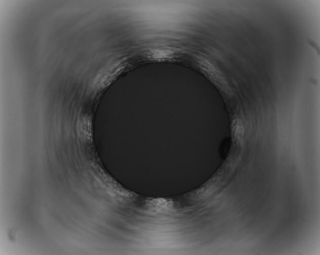 X0000103130421200809121736