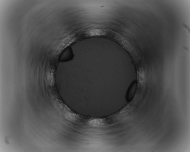 X0000103130422200809121736