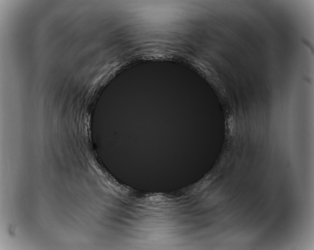 X0000103130423200809121736