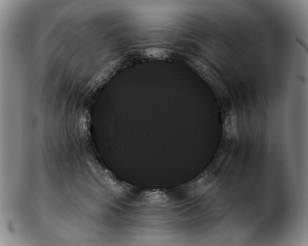 X0000103130424200809121736