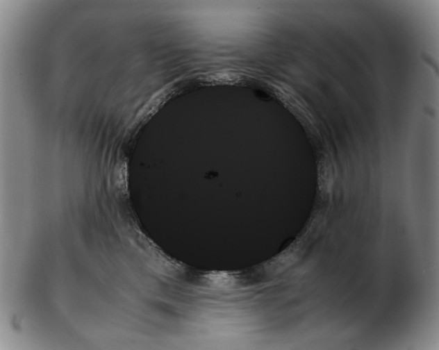 X0000103130425200809121736