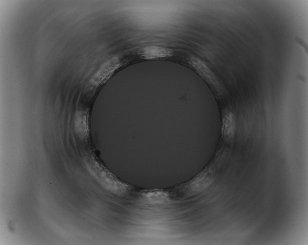 X0000103130426200809121736