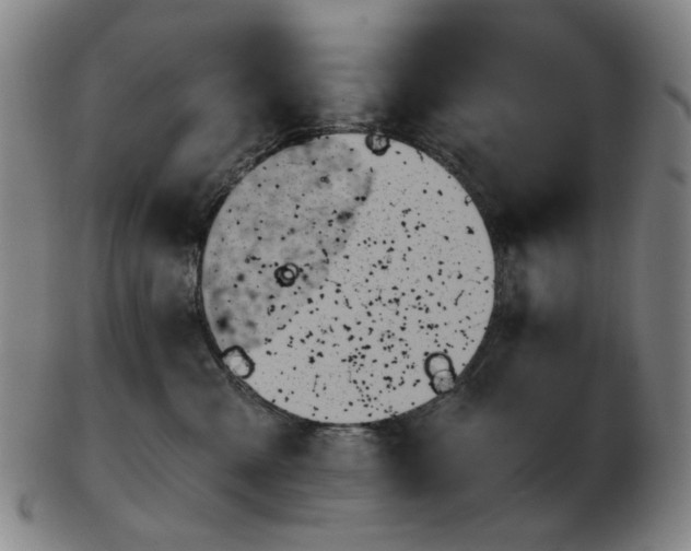 X0000103130427200809121736