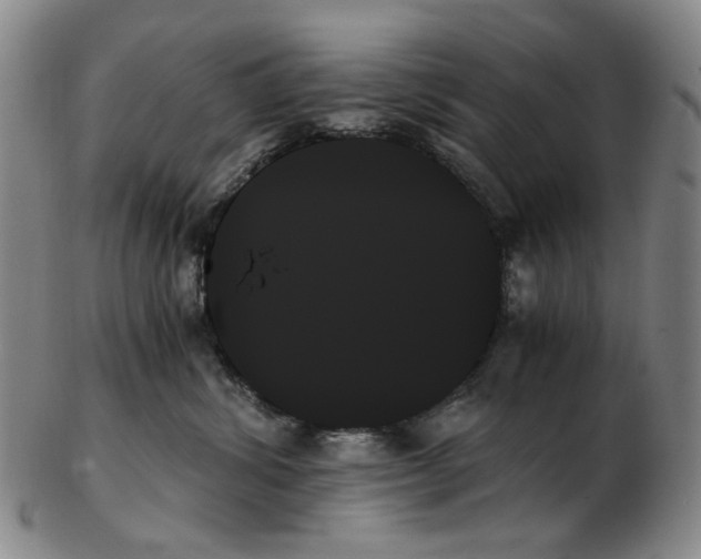 X0000103130428200809121736