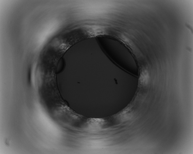 X0000103130429200809121736