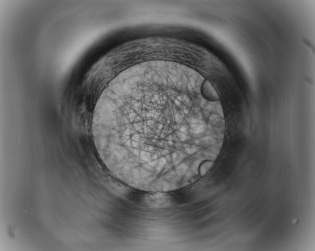 X0000103130431200809121736