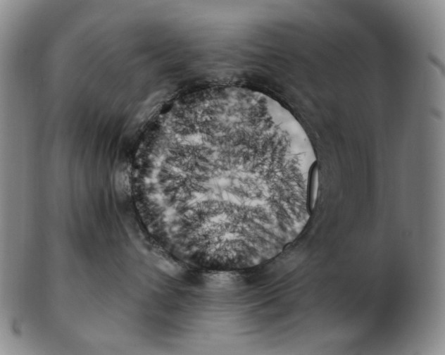 X0000103130432200809121736