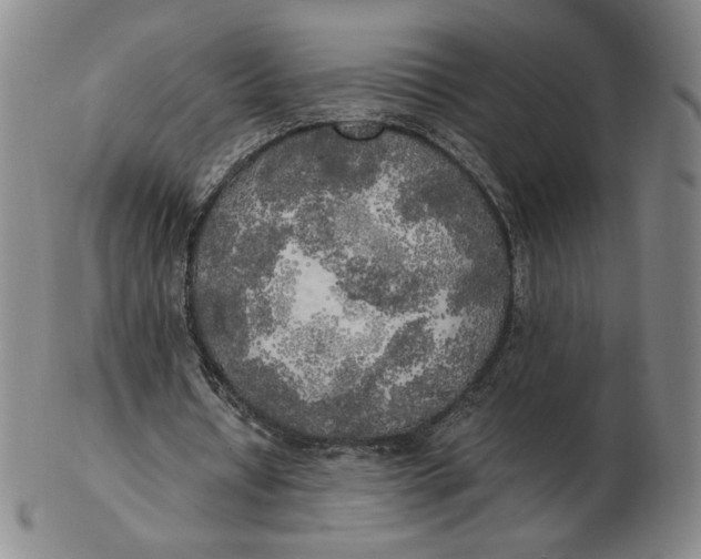 X0000103130434200809121735