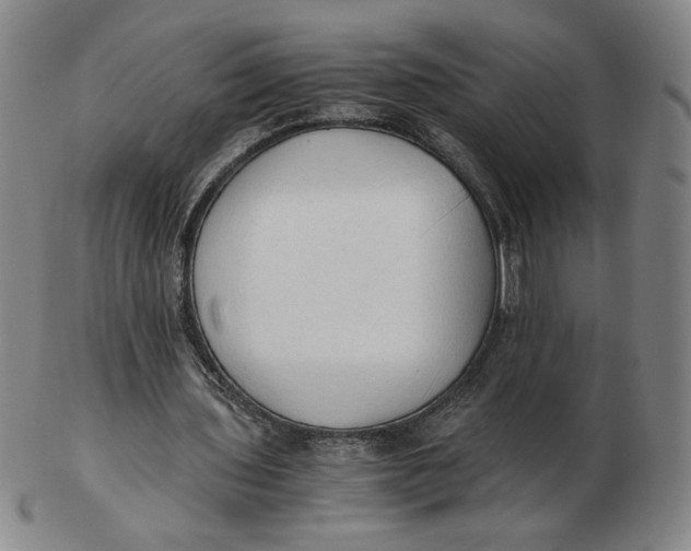 X0000103130435200809121735