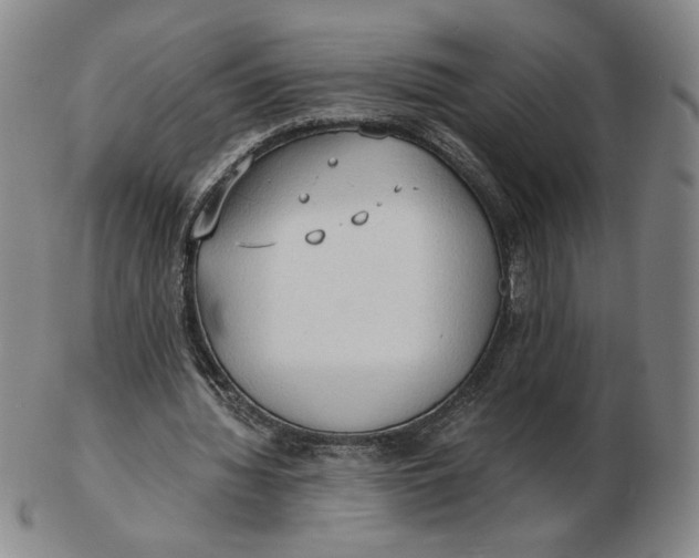 X0000103130436200809121735