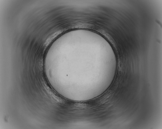 X0000103130437200809121735