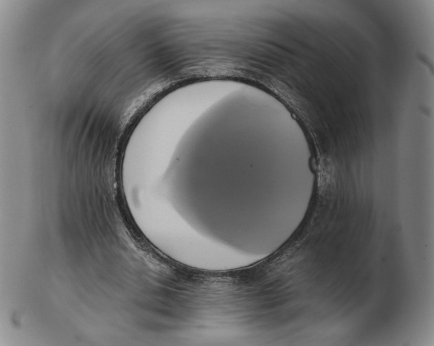 X0000103130438200809121735