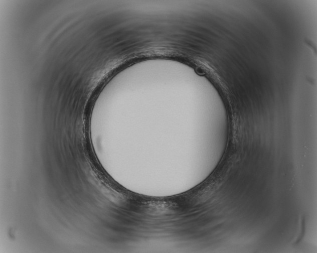 X0000103130439200809121735
