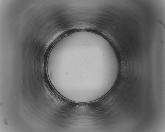 X0000103130440200809121735