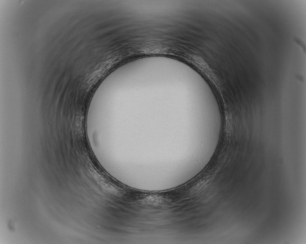 X0000103130441200809121735