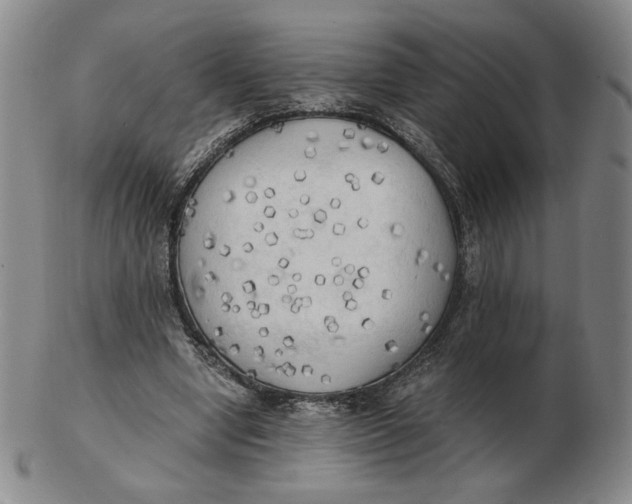 X0000103130442200809121735