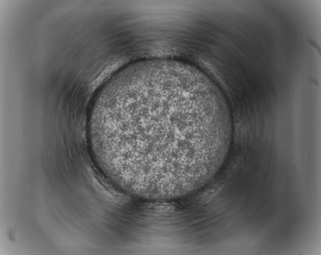 X0000103130443200809121735