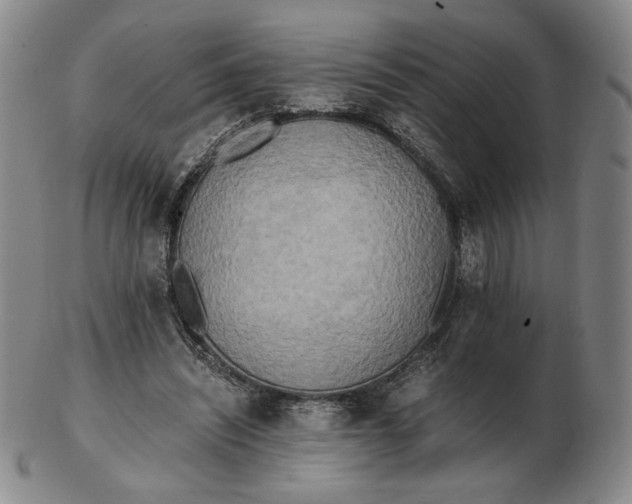 X0000103130444200809121735