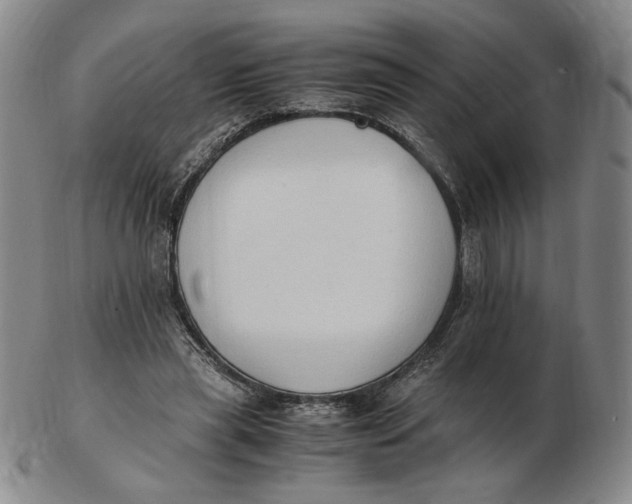 X0000103130445200809121735