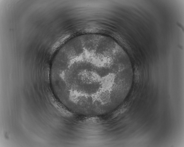 X0000103130446200809121735