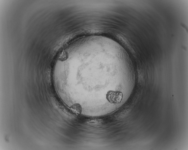 X0000103130447200809121735