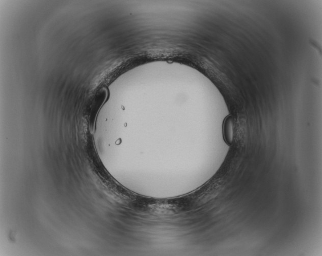 X0000103130448200809121735