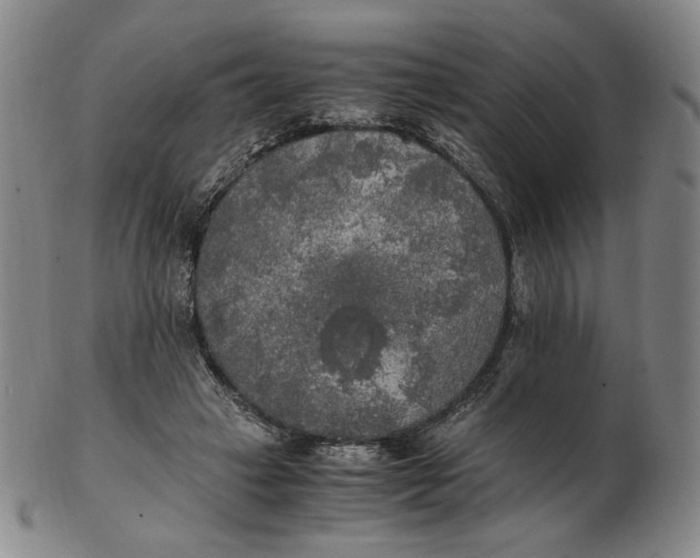 X0000103130449200809121735