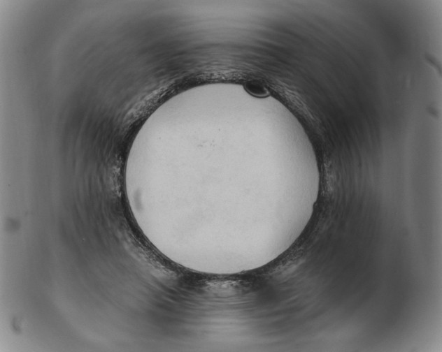 X0000103130450200809121735
