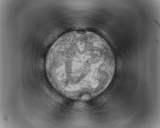 X0000103130451200809121735