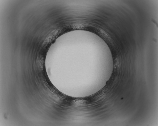 X0000103130452200809121735