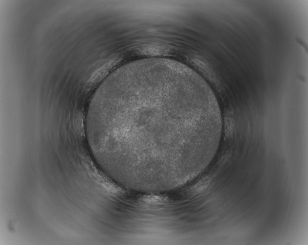 X0000103130453200809121735