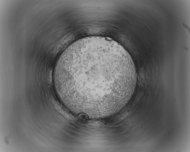 X0000103130454200809121735