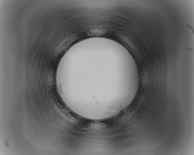 X0000103130455200809121735