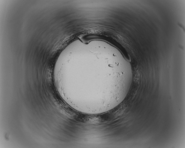 X0000103130456200809121735
