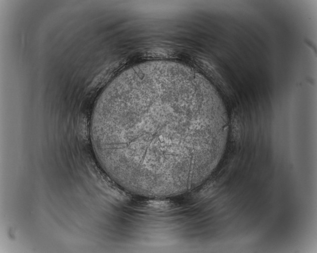 X0000103130457200809121735
