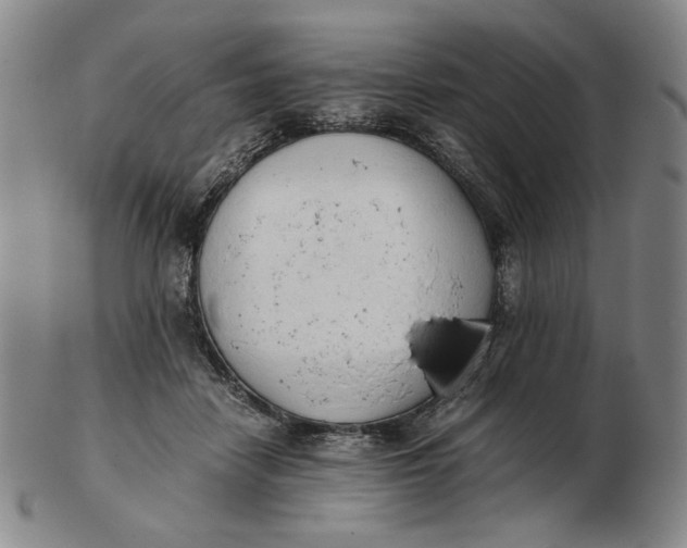 X0000103130458200809121736
