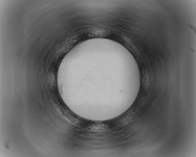X0000103130459200809121736