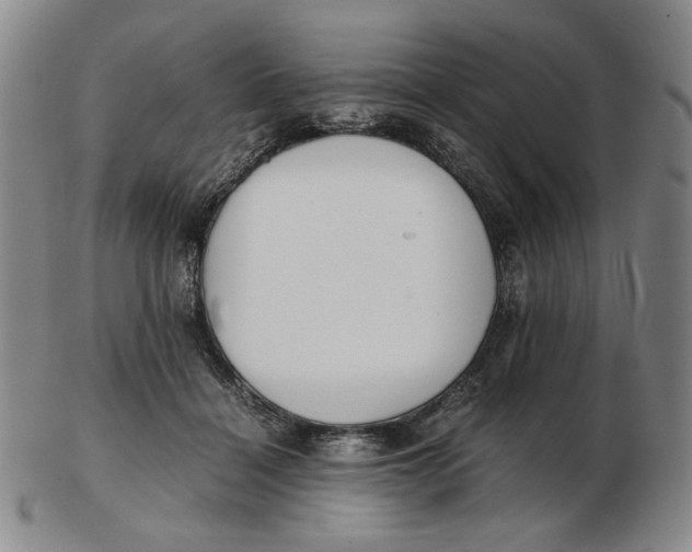 X0000103130460200809121736