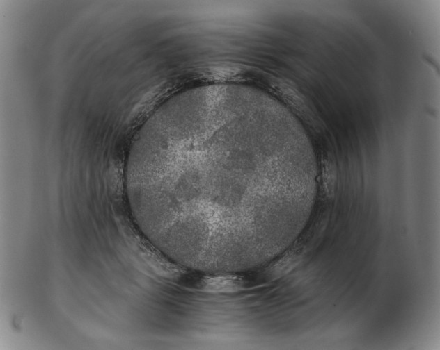X0000103130461200809121736
