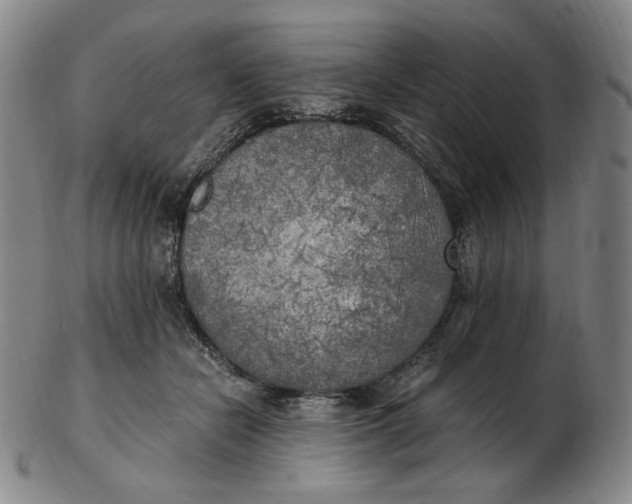 X0000103130462200809121736