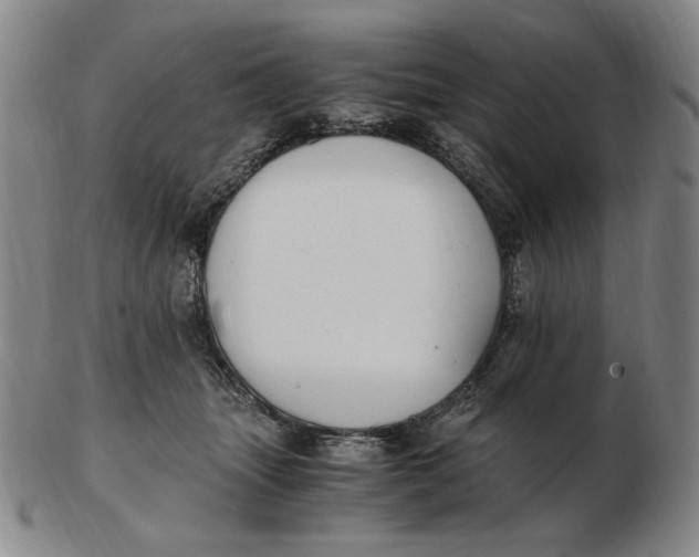 X0000103130463200809121736
