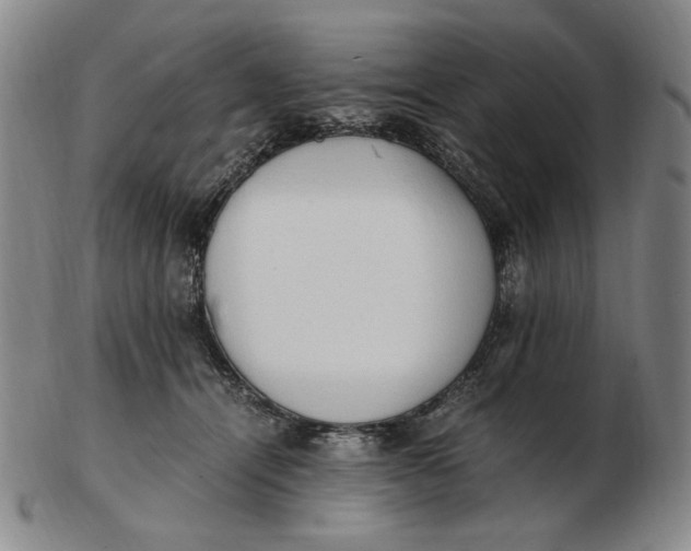 X0000103130464200809121736