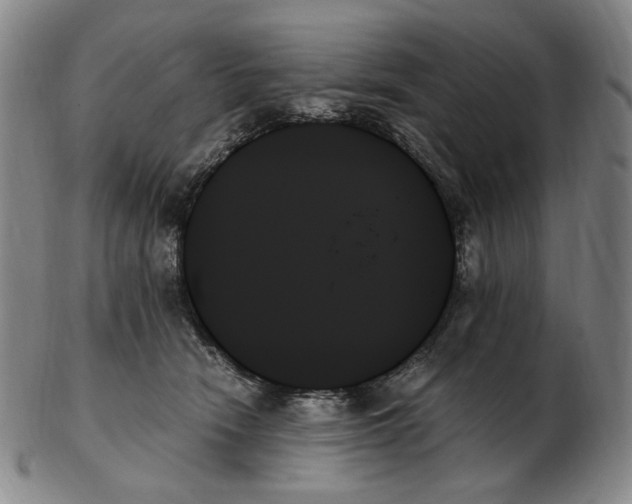 X0000103130466200809121736
