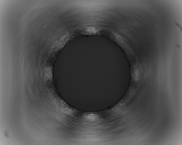 X0000103130467200809121736